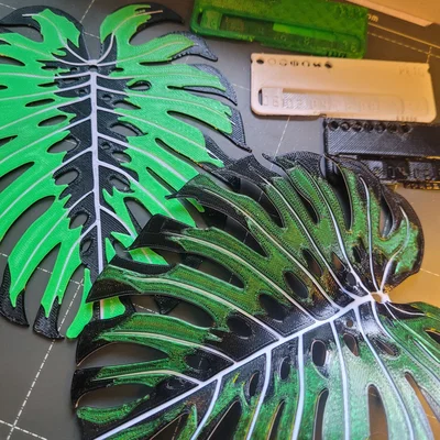 Monstera - Đa Màu | Đa Lớp (Đổi Màu Thủ Công)