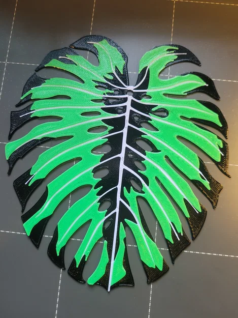 Monstera - Đa Màu | Đa Lớp (Đổi Màu Thủ Công) - Image 3