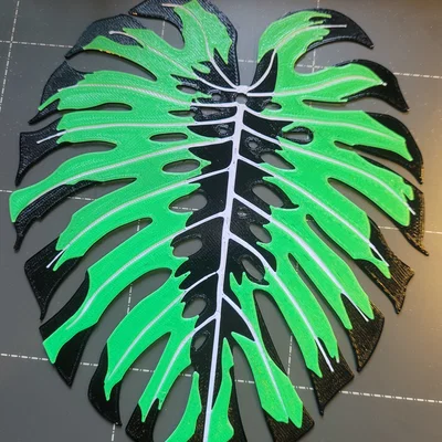 Monstera - Đa Màu | Đa Lớp (Đổi Màu Thủ Công)