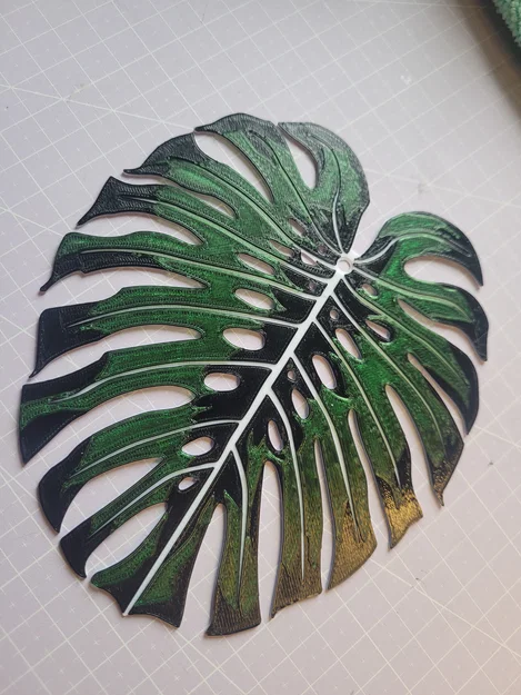 Monstera - Đa Màu | Đa Lớp (Đổi Màu Thủ Công) - Image 4