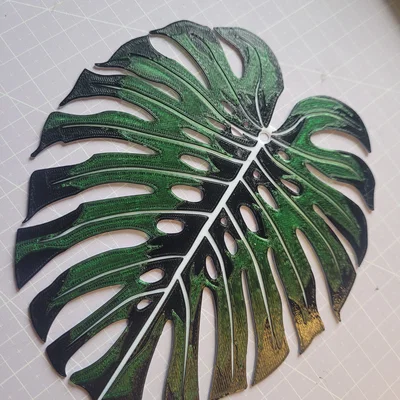 Monstera - Đa Màu | Đa Lớp (Đổi Màu Thủ Công)
