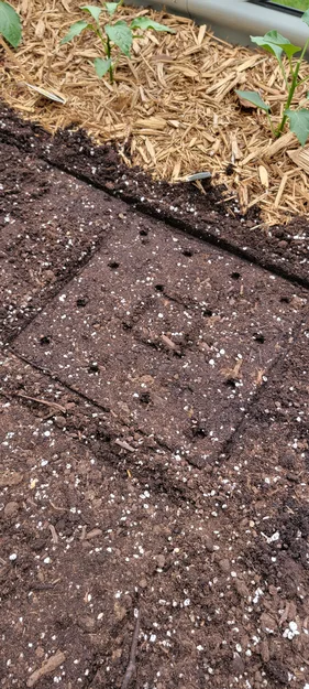 Template Làm Vườn Square Foot Gardening - Image 3