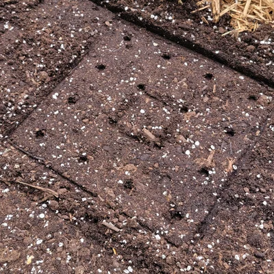 Template Làm Vườn Square Foot Gardening