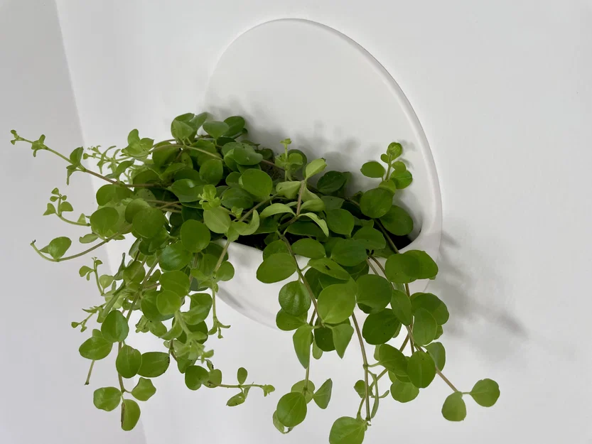 Chậu cây treo tường (Wall planter) nổi – thiết kế hiện đại - Image 1