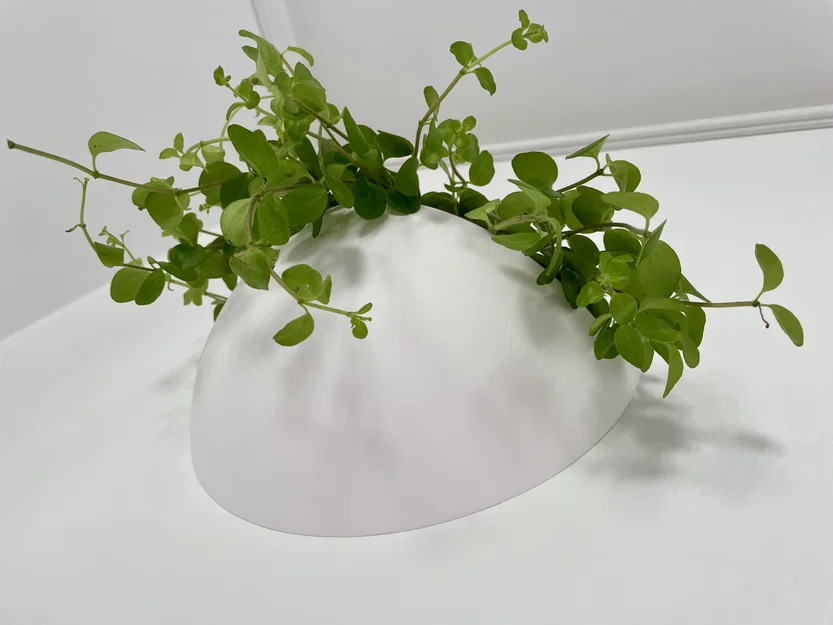 Chậu cây treo tường (Wall planter) nổi – thiết kế hiện đại - Image 4