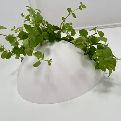 Chậu cây treo tường (Wall planter) nổi – thiết kế hiện đại