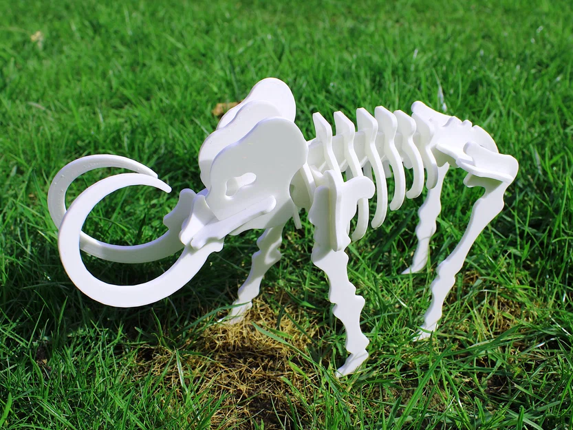 Bộ ghép hình 3D bộ xương Mammoth dạng Kit Card - Image 4