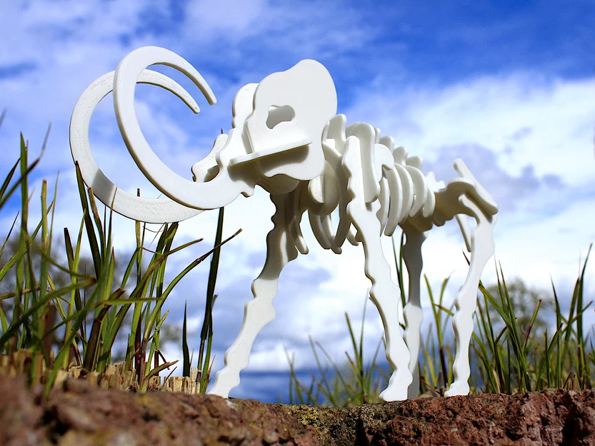 Bộ ghép hình 3D bộ xương Mammoth dạng Kit Card - Image 5