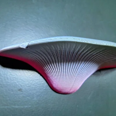 Nam châm tủ lạnh hình nấm 3D - Phụ kiện decor độc đáo cho căn bếp