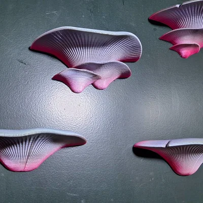 Nam châm tủ lạnh hình nấm 3D - Phụ kiện decor độc đáo cho căn bếp