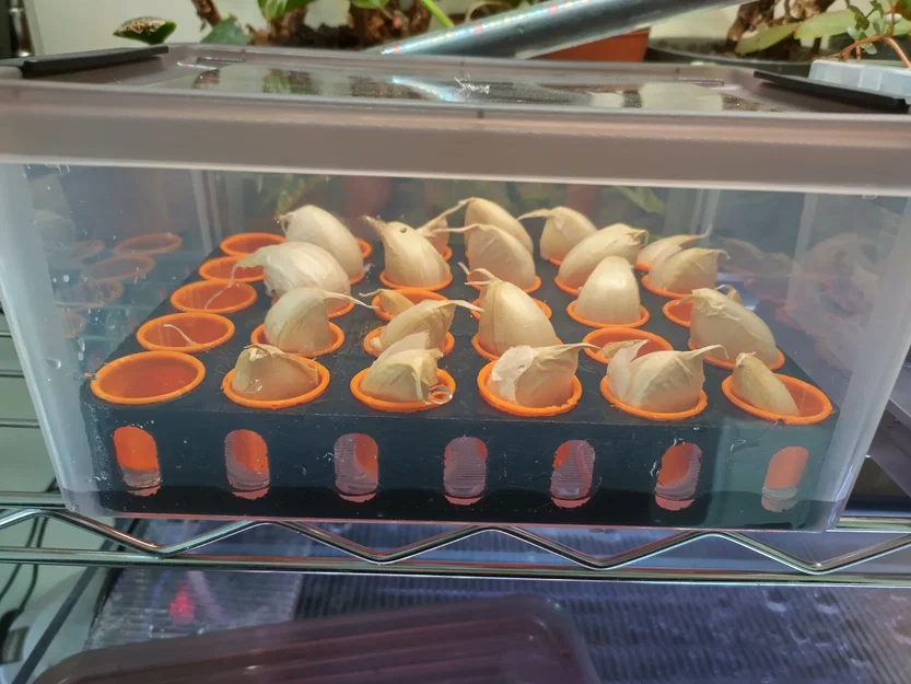 Khay ươm tép tỏi Aquaponic (Aquaponic Garlic Starting Tray) - Image 1