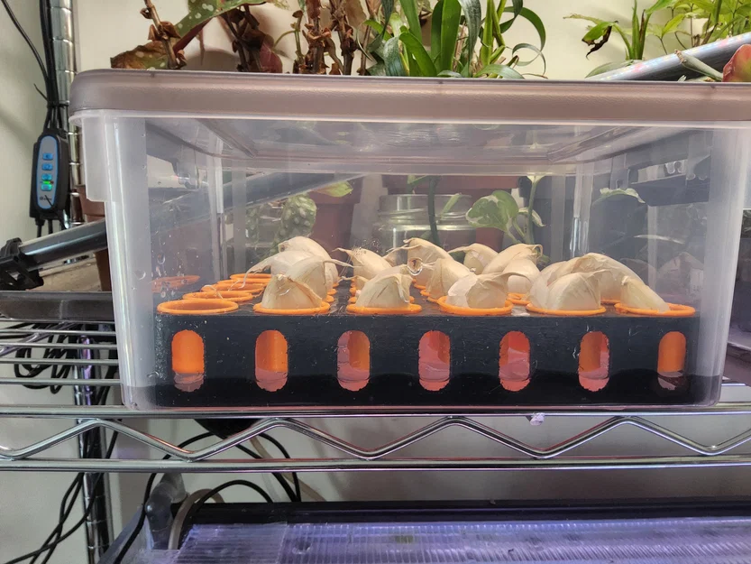 Khay ươm tép tỏi Aquaponic (Aquaponic Garlic Starting Tray) - Image 2