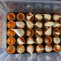 Khay ươm tép tỏi Aquaponic (Aquaponic Garlic Starting Tray) - Thumbnail 3