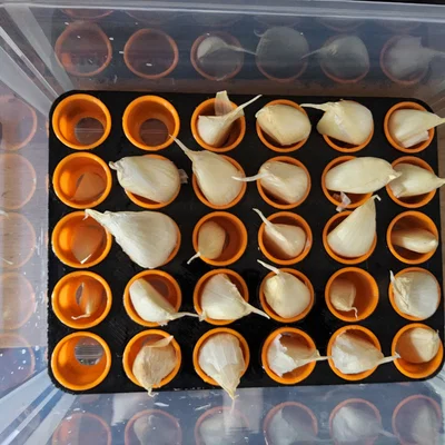 Khay ươm tép tỏi Aquaponic (Aquaponic Garlic Starting Tray)