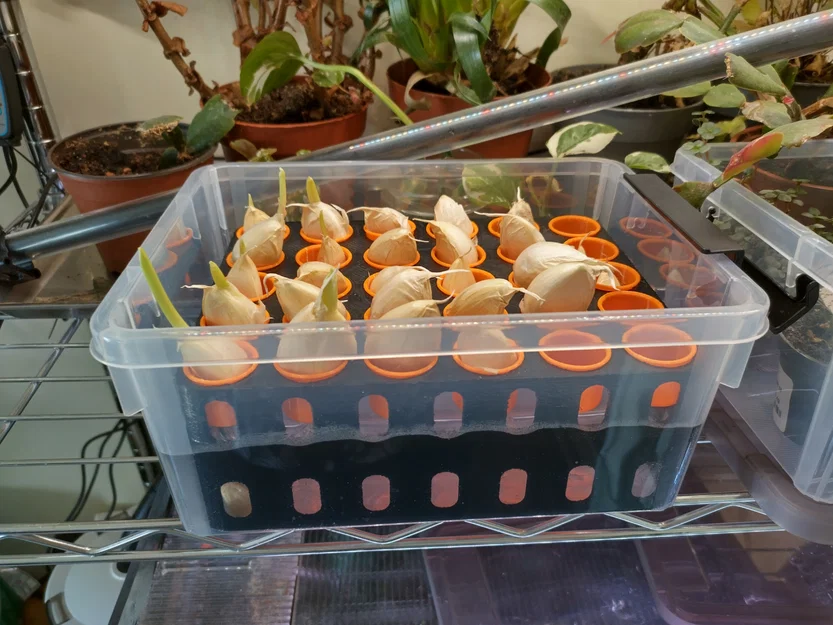 Khay ươm tép tỏi Aquaponic (Aquaponic Garlic Starting Tray) - Image 4