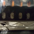 Khay ươm tép tỏi Aquaponic (Aquaponic Garlic Starting Tray) - Thumbnail 5