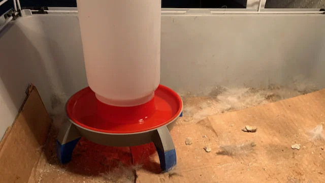Bệ kê bình nước cho gà (Chicken water step stool) - Image 2