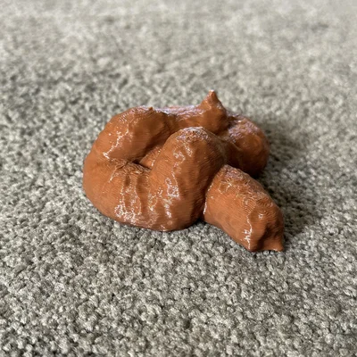 Prank poop – cục “poop” chơi khăm in 3D