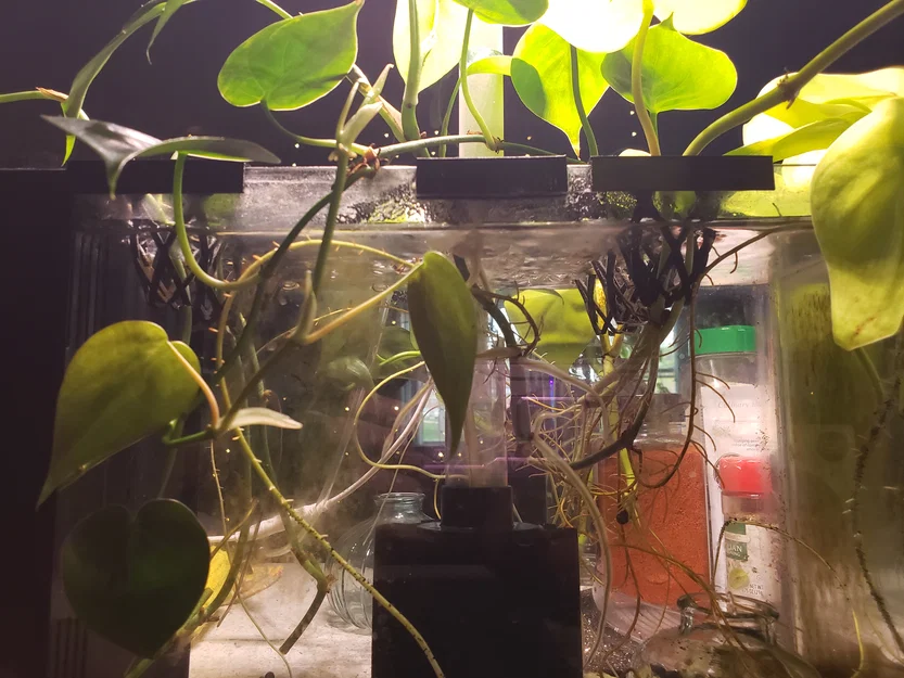 Giá đỡ trồng cây thủy sinh cho bể cá Top Fin 3 Gallon - Image 3