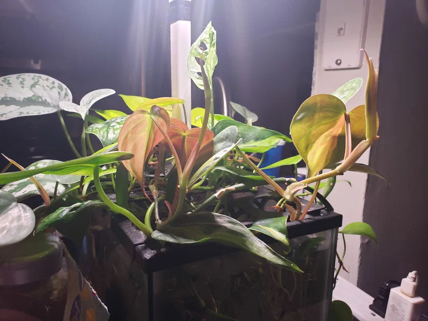 Giá đỡ trồng cây thủy sinh cho bể cá Top Fin 3 Gallon - Image 4