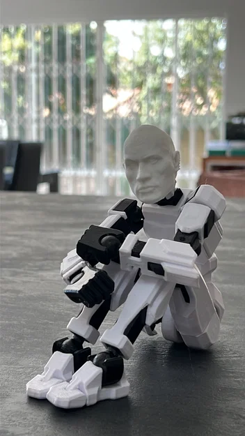 Đầu nhân vật The Rock cho mô hình Dummy 13 siêu chất - Image 1