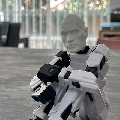 Đầu nhân vật The Rock cho mô hình Dummy 13 siêu chất
