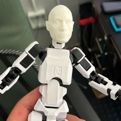Đầu nhân vật The Rock cho mô hình Dummy 13 siêu chất