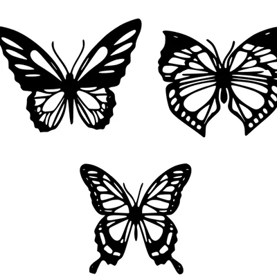Mô hình 3D Butterflies trang trí nghệ thuật cực đẹp và tinh tế