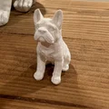 Mẫu French Bulldog Dễ Thương - Hợp Trang Trí Nhà Cửa Hoặc Làm Quà - Thumbnail 2