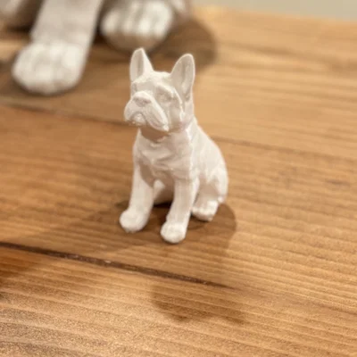 Mẫu French Bulldog Dễ Thương - Hợp Trang Trí Nhà Cửa Hoặc Làm Quà
