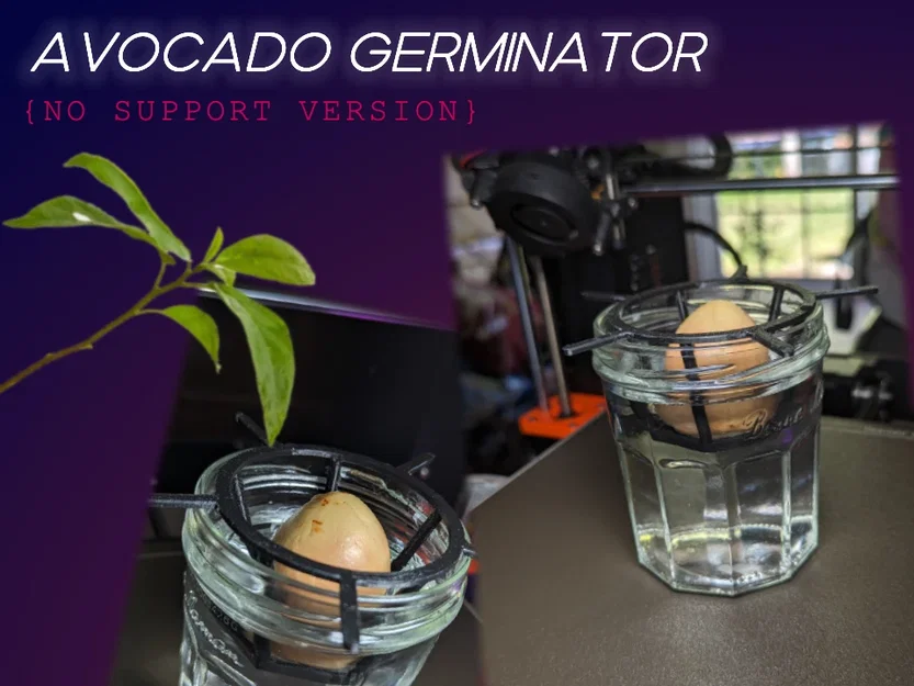 Bộ ươm hạt bơ (Avocado germinator) không cần supports - Image 1