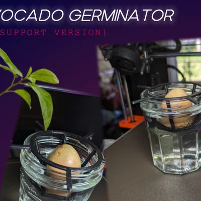 Bộ ươm hạt bơ (Avocado germinator) không cần supports