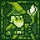 MeSoErnie_940516