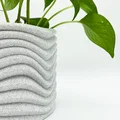 Chậu Cây Gợn Sóng (Wavy Plant Pot) - Thumbnail 2