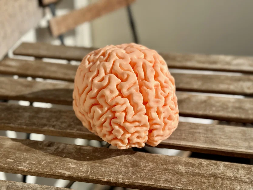MRI Brain Scan – Mô hình quét MRI não bộ - Image 1