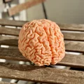 MRI Brain Scan – Mô hình quét MRI não bộ - Thumbnail 1