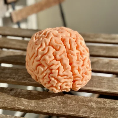 MRI Brain Scan – Mô hình quét MRI não bộ