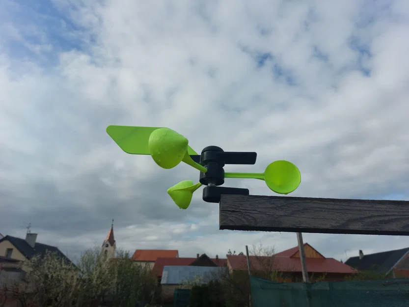 Weather Vane (Chong chóng chỉ hướng gió) - Image 2
