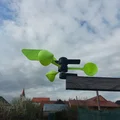 Weather Vane (Chong chóng chỉ hướng gió) - Thumbnail 2