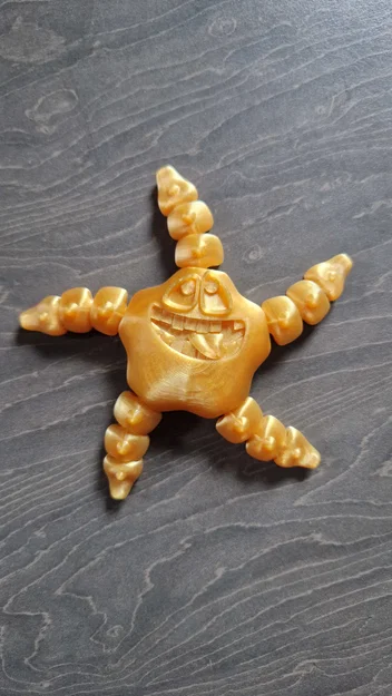 Sao Biển Articulated Dễ Thương - Image 1