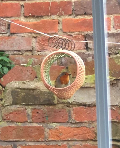 Máng ăn chim hoạ tiết Voronoi (Bird feeder with Voronoi pattern) - Image 1