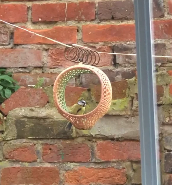 Máng ăn chim hoạ tiết Voronoi (Bird feeder with Voronoi pattern) - Image 2