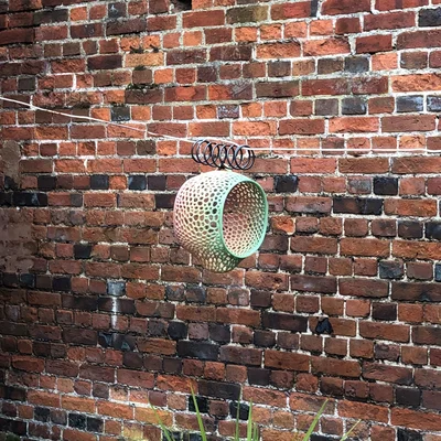 Máng ăn chim hoạ tiết Voronoi (Bird feeder with Voronoi pattern)