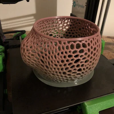 Máng ăn chim hoạ tiết Voronoi (Bird feeder with Voronoi pattern)