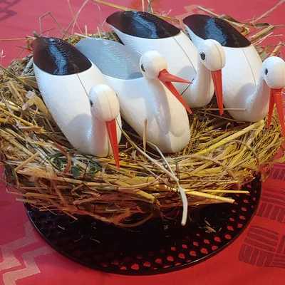Cò ngồi trên tổ / Stork sitting on the Nest