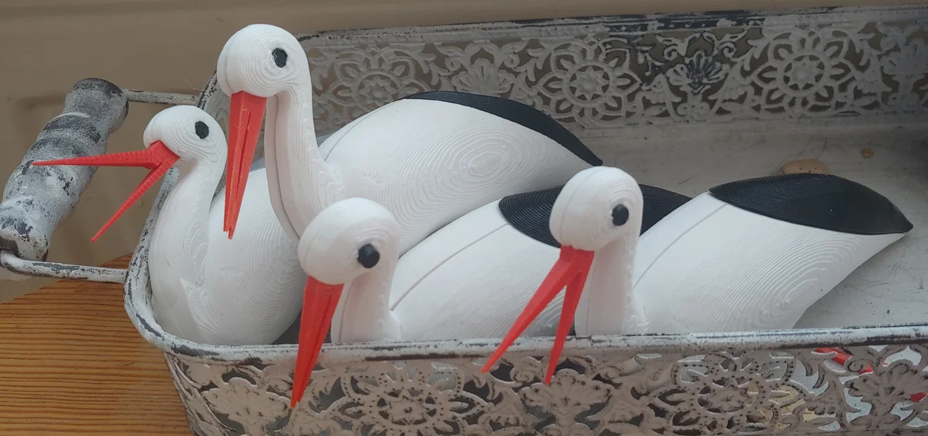 Cò ngồi trên tổ / Stork sitting on the Nest - Image 2