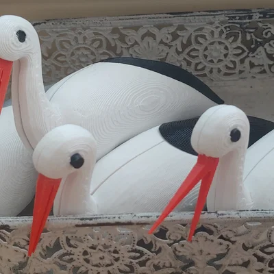 Cò ngồi trên tổ / Stork sitting on the Nest