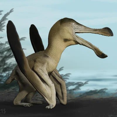 Tượng Ornithocheirus tỉ lệ 1:12 (Ornithocheirus figurine)