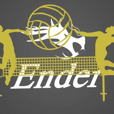 Mô hình trang trí bánh kem hình vận động viên bóng chuyền độc đáo