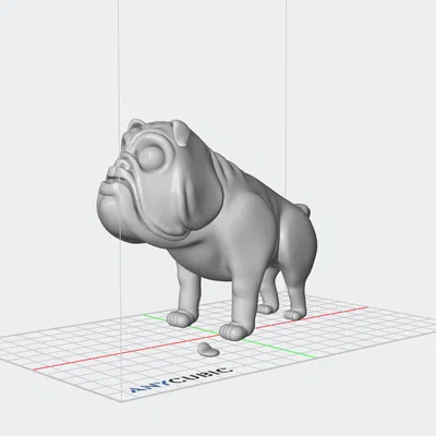 Mô hình 3D chú chó English Bulldog cực đáng yêu cho người sưu tầm